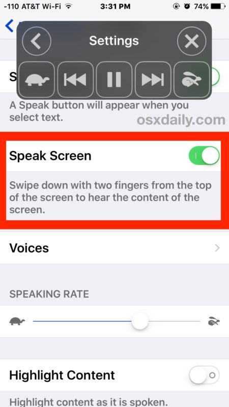 Enable Speak Screen in iOS