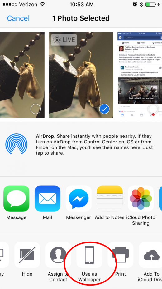 Live Photos: The Complete Guide to iPhone's Moving Pictures (UPDATED FOR iOS 11) | iPhoneLife.com