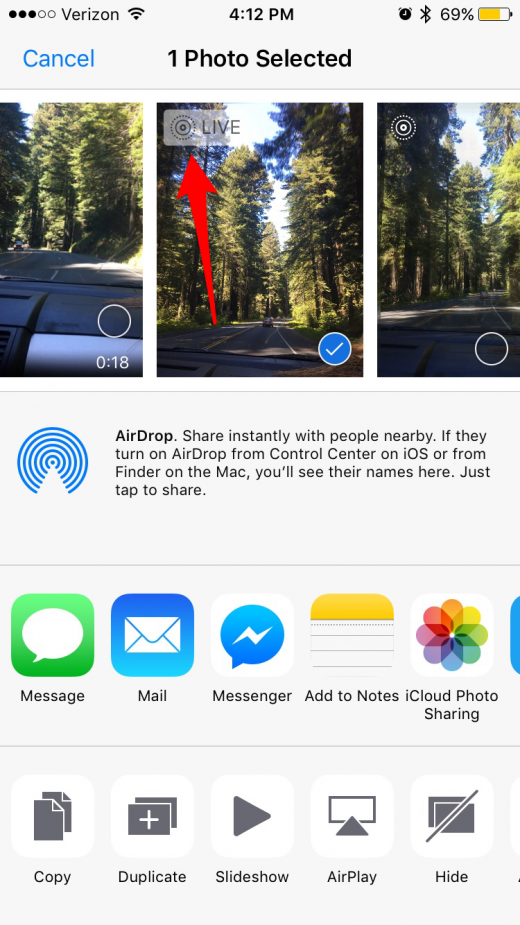 Live Photos: The Complete Guide to iPhone's Moving Pictures (UPDATED FOR iOS 11) | iPhoneLife.com